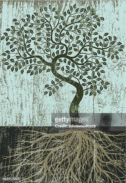 peeling paint bent tree - tree roots stock illustrations