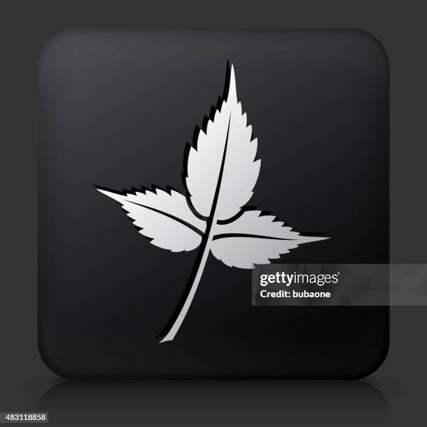 black square button with leaf icon - dark empty factory stock illustrations