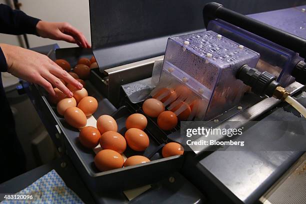 Washed eggs move along a conveyor belt for drying at the Mulloon Creek Natural Farm in Bungendore, Australia, on Friday, July 31, 2015. Australia's...