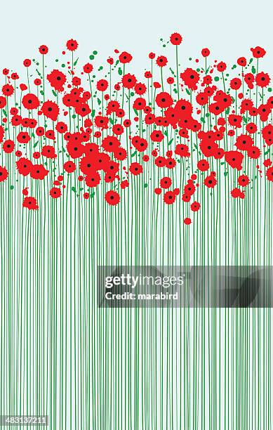 bildbanksillustrationer, clip art samt tecknat material och ikoner med field of fragile scarlet poppies clear blue sky - poppy plant
