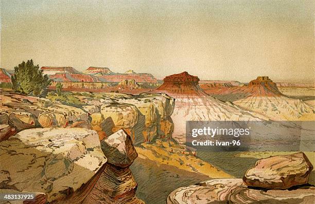 grand canyon - southwest desert stock illustrations