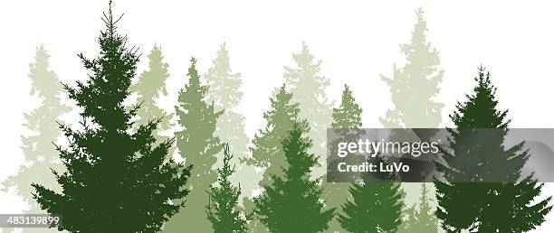 fir trees landscape - coniferous tree 幅插畫檔、美工圖案、卡通及圖標
