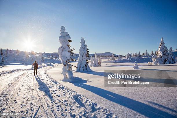 a cross country skier in the norwegian mountains - cross country skiing bildbanksfoton och bilder