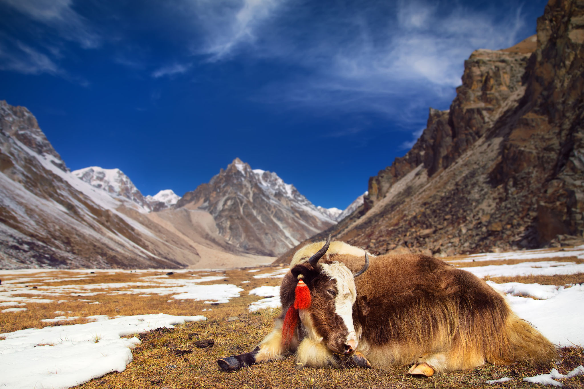 bhutan trekking