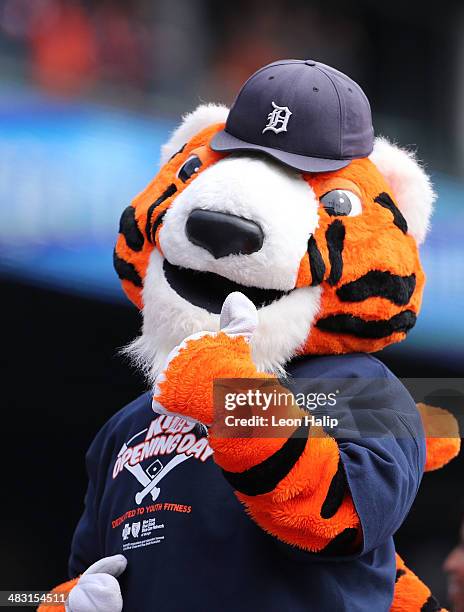 428 Detroit Tigers Paws Stock Photos, High-Res Pictures, and Images - Getty  Images