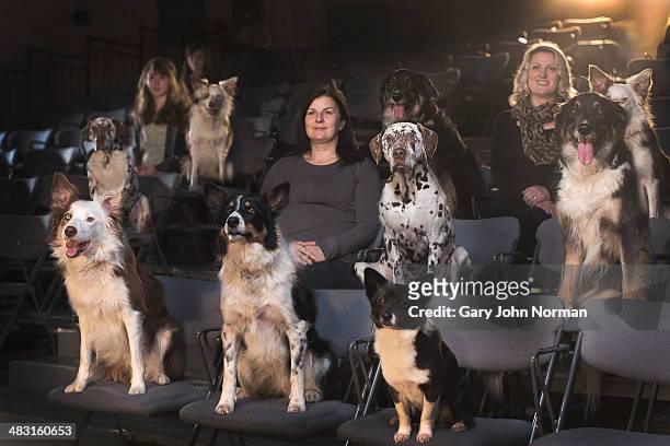 dogs and people at the theatre - grupo mediano de animales fotografías e imágenes de stock