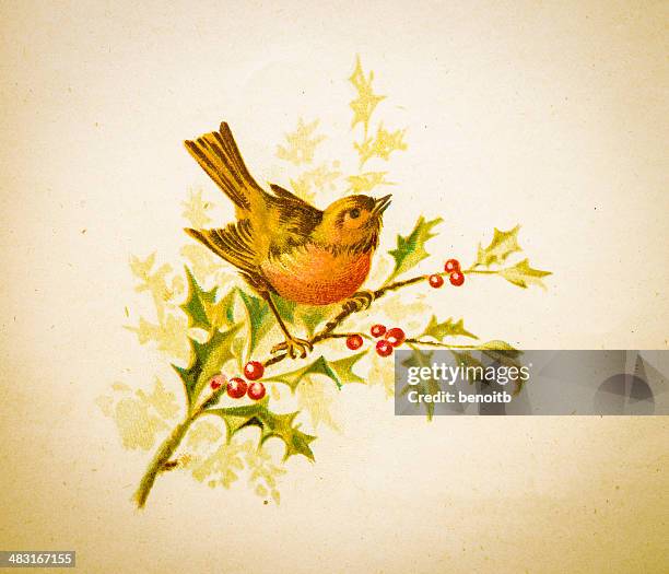 robin singing on branch - robin stock illustrations