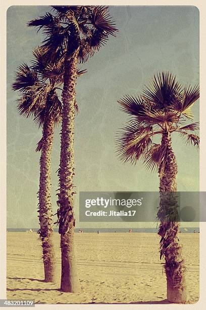 drei palmen auf newport beach-vintage-postkarten - beach photos stock-fotos und bilder