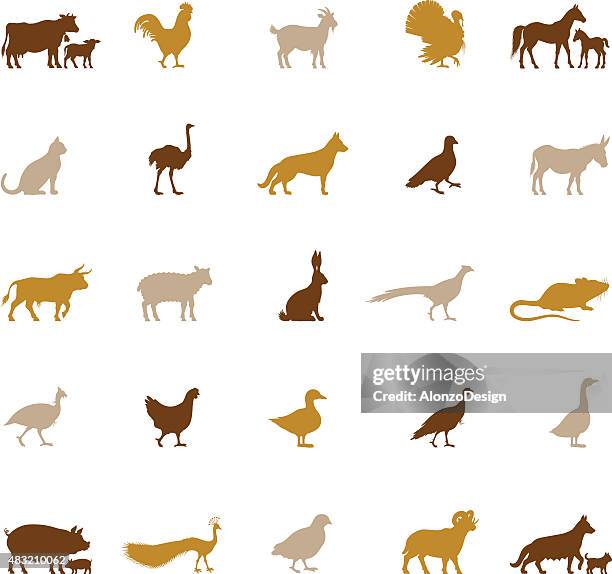 stockillustraties, clipart, cartoons en iconen met farm animal silhouettes - pig and dog in a farm