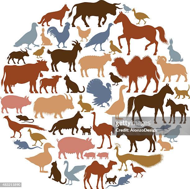 domestic animal silhouetten - image montage cartoon stock-grafiken, -clipart, -cartoons und -symbole