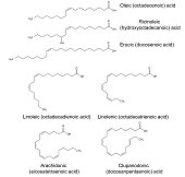 Structural chemical formulas of unsaturated fatty acids