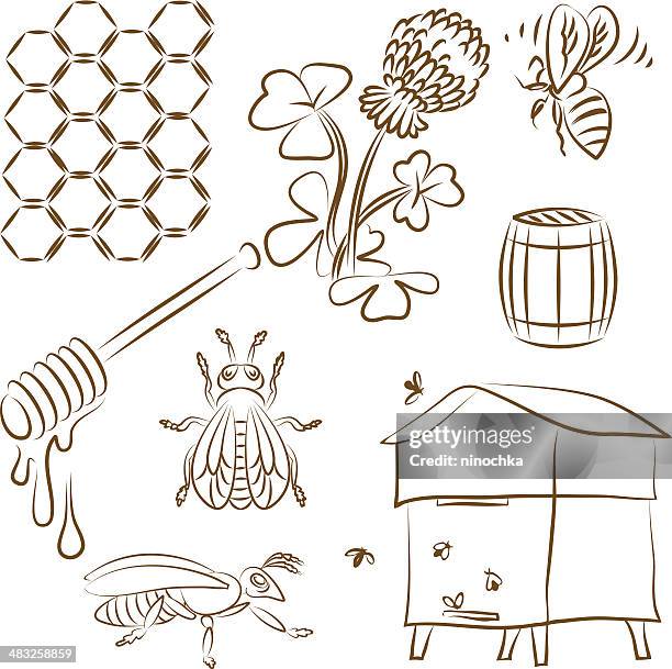 ilustraciones, imágenes clip art, dibujos animados e iconos de stock de juego de abeja - apicultura