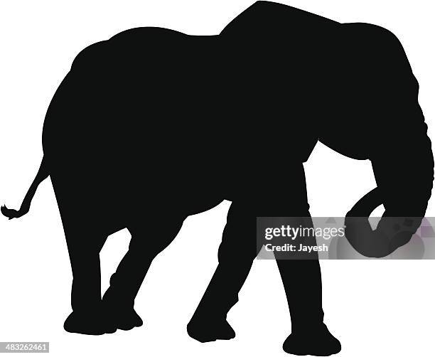 elephant silhouette - zoo animals black and white clip art stock illustrations