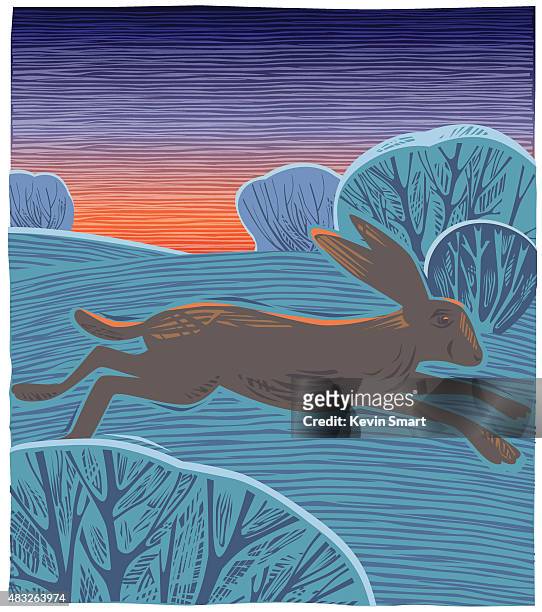 winter landscape with hare or jackrabbit - jackrabbit stock illustrations