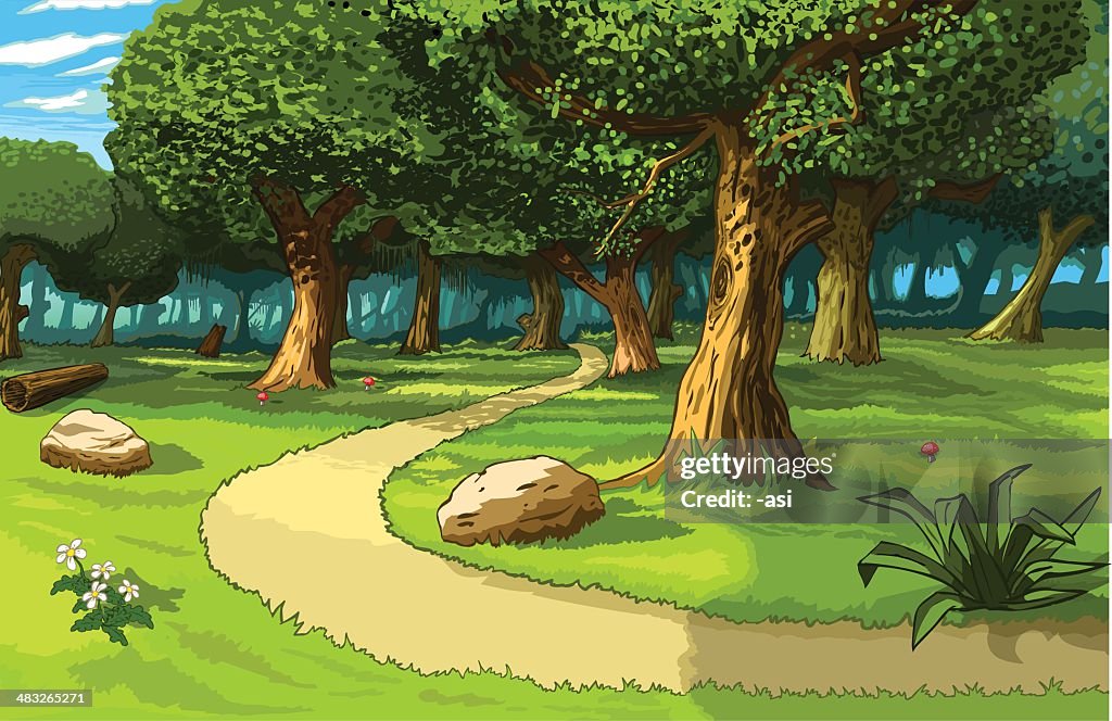 Path in the forest