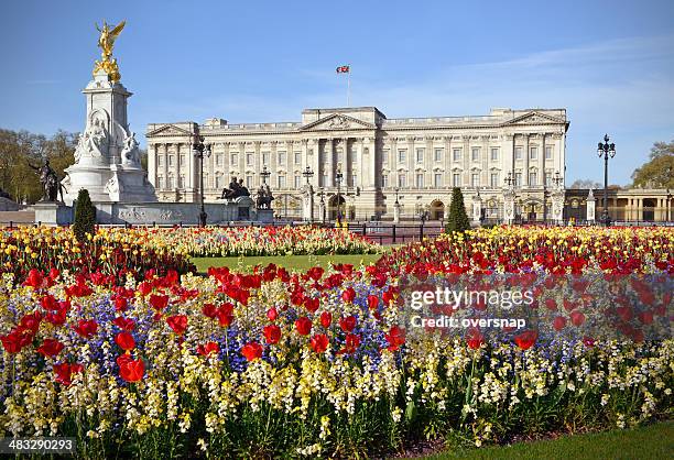 buckingham palace - buckingham palace foto e immagini stock