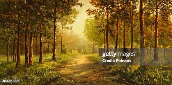 Morning in a pine grove Morning in a pine grove