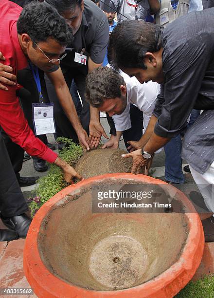 Congress Vice President Rahul Gandhi picks up the plant that accidently fell down, after the protest against the suspension of 25 party members...