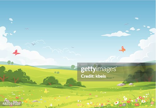 Sommer-Landschaft Sommer-Landschaft