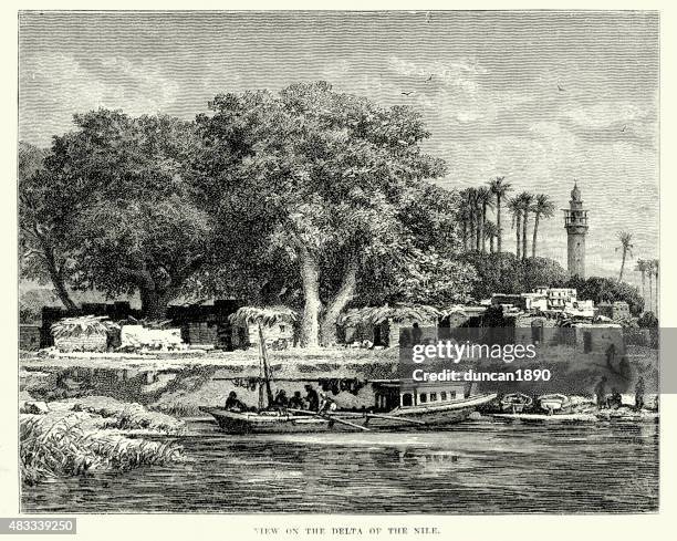 view on the delta of river nile 19th century - river nile stock illustrations