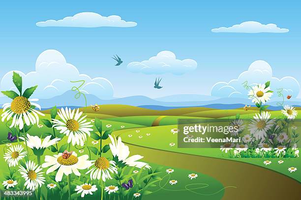 spring landscape... - chamomile stock illustrations