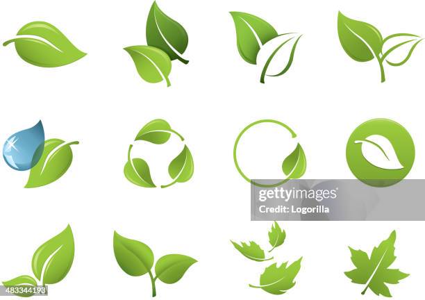 stockillustraties, clipart, cartoons en iconen met green leaf icons - leaving