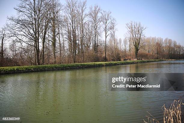 Trees surround the Somme canal on March 12, 2014 in Frise, France. A number of events will be held this year to commemorate the centenary of the...