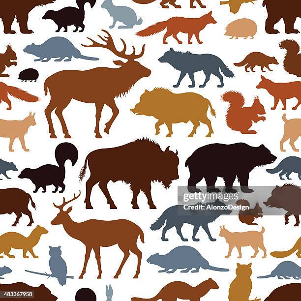 wilde tiere muster - bear stock-grafiken, -clipart, -cartoons und -symbole