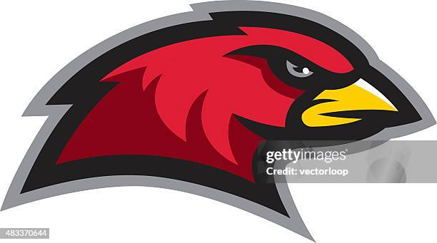 cardinal head - hawk mascot stock illustrations