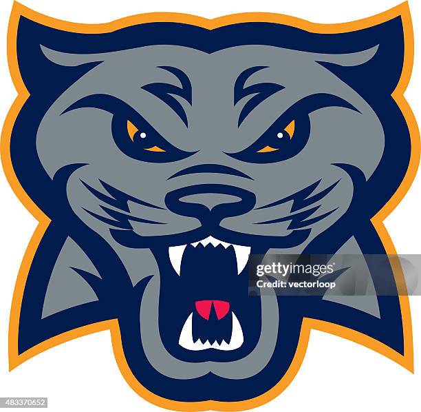 panther head - jaguar mascot stock illustrations