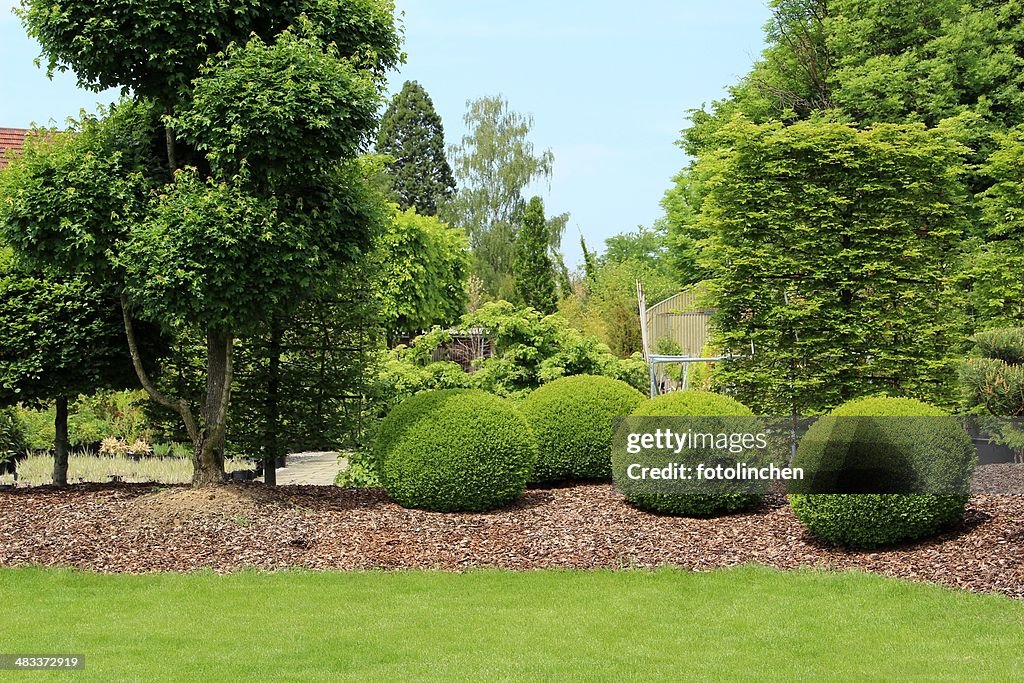Gardendesign with buxus