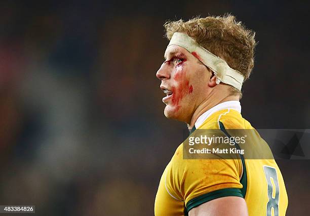 David Pocock of the Wallabies looks on with a cut left eye during The Rugby Championship match between the Australia Wallabies and the New Zealand...