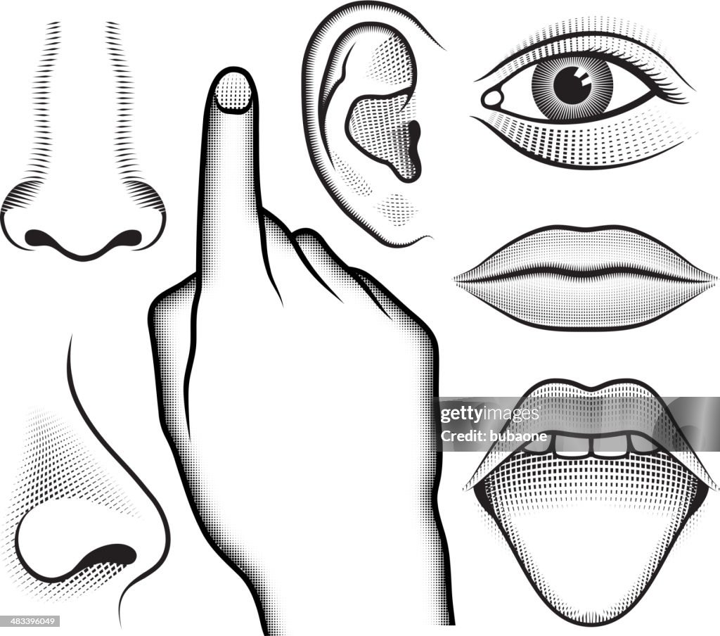 Five Human Senses black & white vector interface icon set