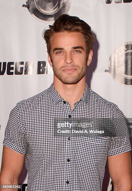 Actor Brian Borello attends the movie premiere of Shooting The Warwicks at Arena Cinema Hollywood on August 7, 2015 in Hollywood, California.