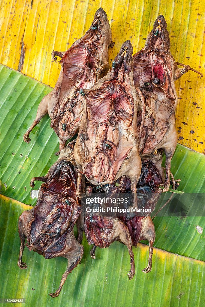 Tasty fly encrusted rat snacks in Laos