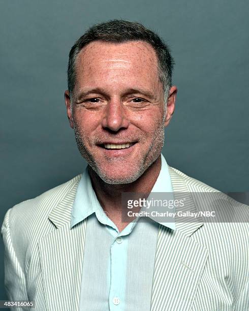 Actor Jason Beghe poses for a portrait during the 2014 NBCUniversal Summer Press Day at The Langham Huntington on April 8, 2014 in Pasadena,...