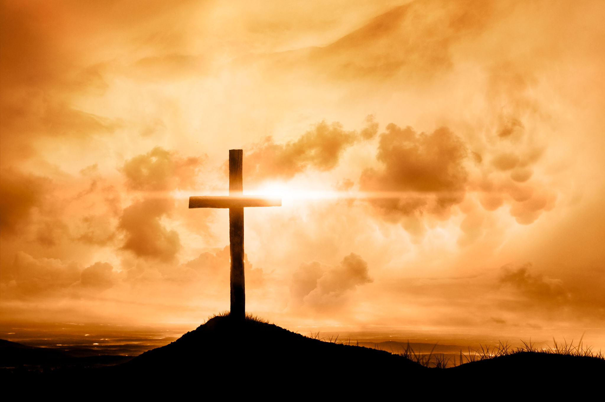 Bringing Life Out Of Darkness Bringing Life Out Of Darkness