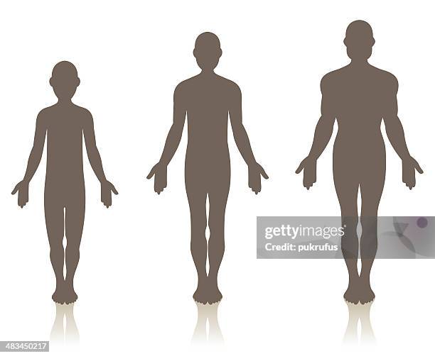 109 Puberty Stages High Res Illustrations Getty Images