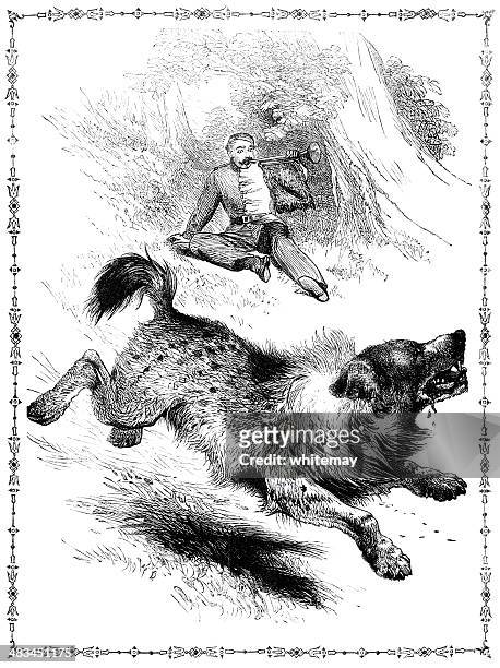 hyena frightened by a trumpeter (victorian illustration) - animal saliva stock illustrations
