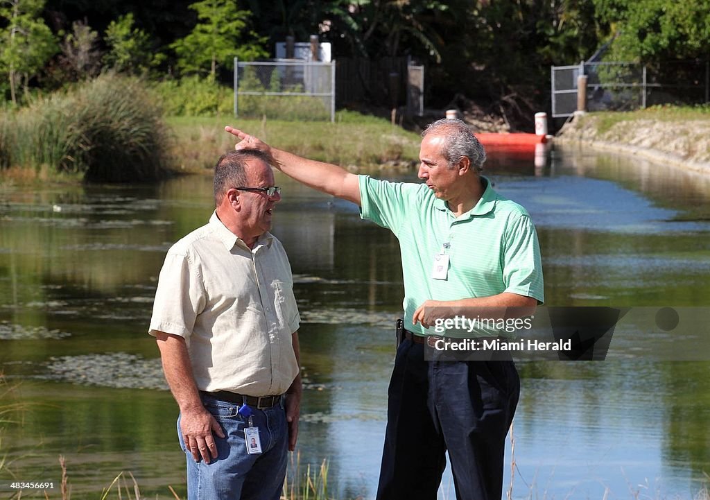 Urban wetland offers glimpse at successful Everglades restoration