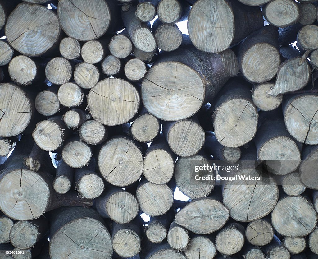 Pile of logs stacked up