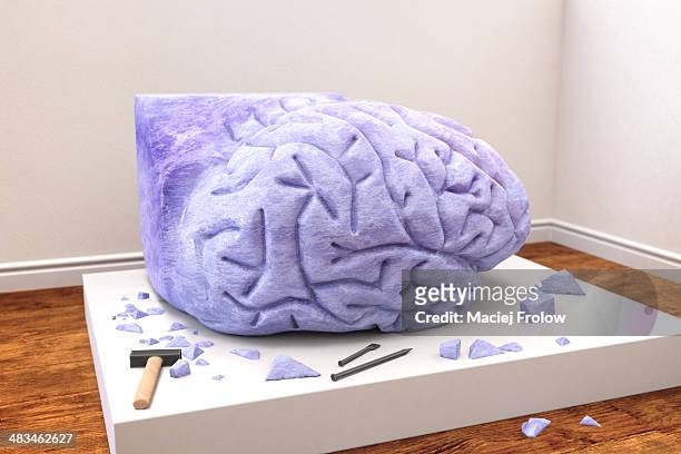 human brain sculpted from stone - chisel fotografías e imágenes de stock