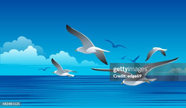 2 493点のカモメイラスト素材 Getty Images