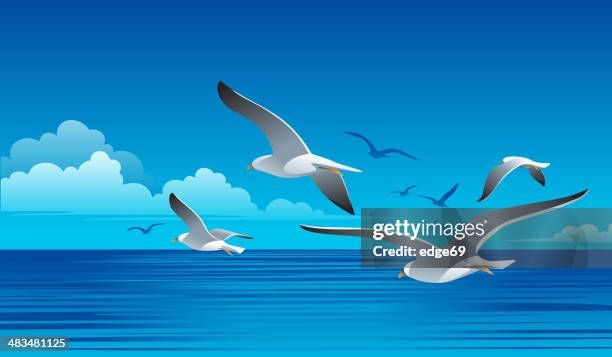 seagulls - seagull sea stock illustrations