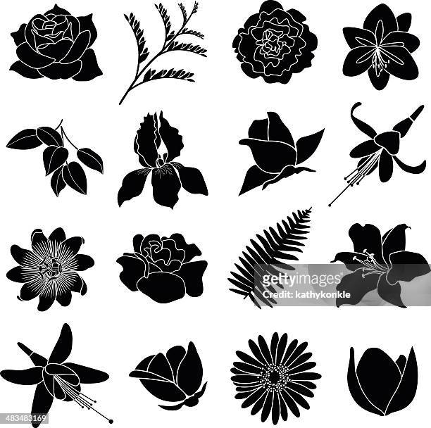 ilustraciones, imágenes clip art, dibujos animados e iconos de stock de iconos de flores - carnation flower