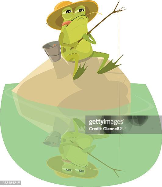 frog sitting on a rock fishing - webbed foot stock illustrations