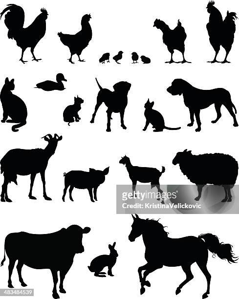 farm animals silhouette - cat dog rabbit stock illustrations