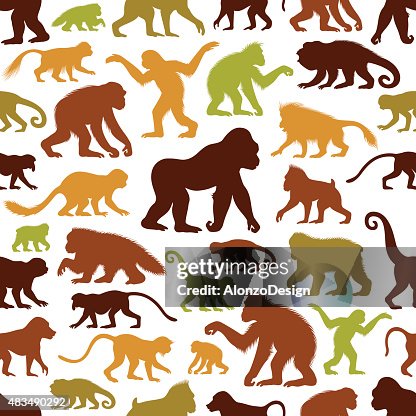 Apes and Monkeys Pattern Apes and Monkeys Pattern