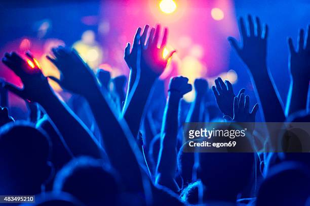 folla concerto - concert foto e immagini stock