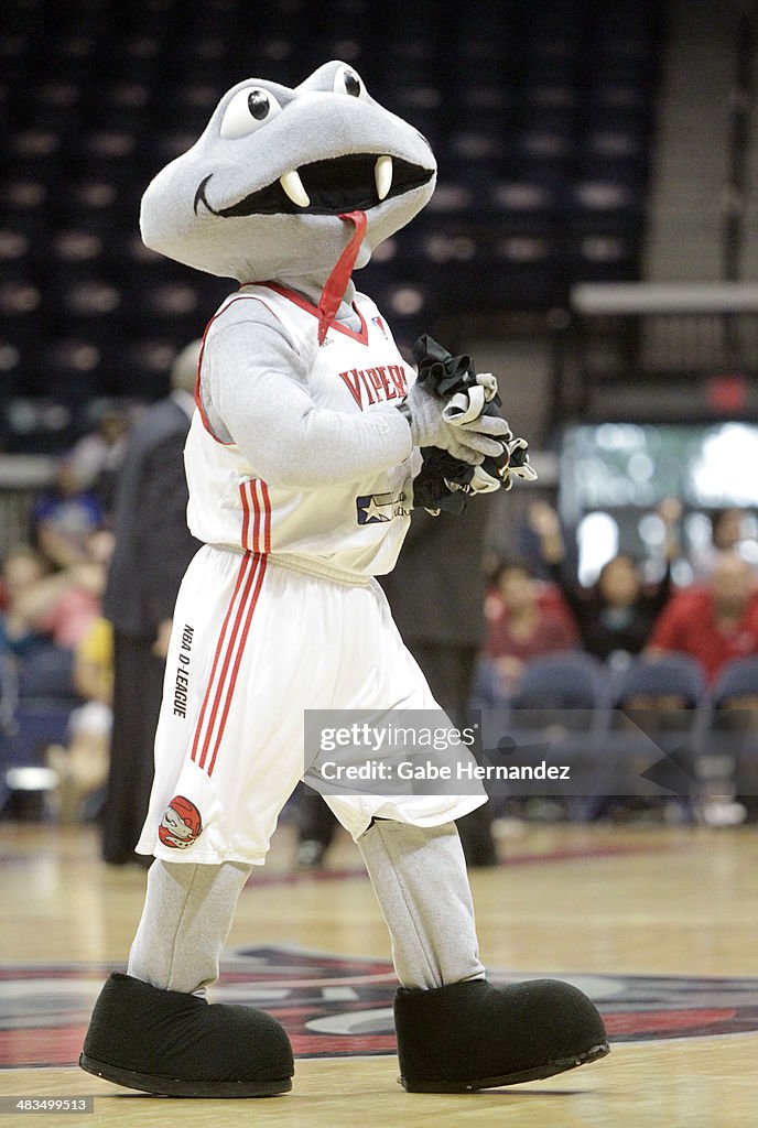 Rio Grande Valley Vipers v Iowa Energy